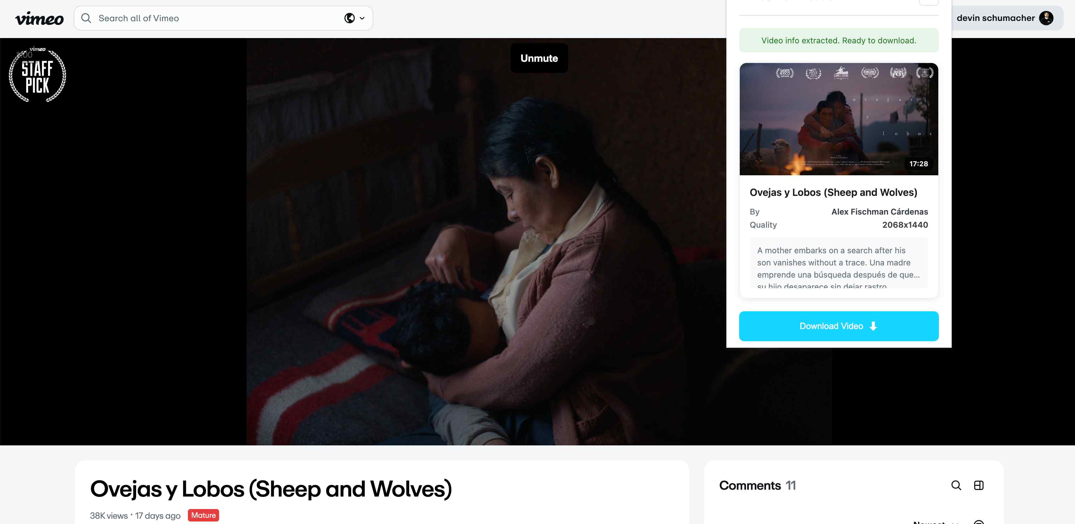 Vimeo Video Downloader progress tracking